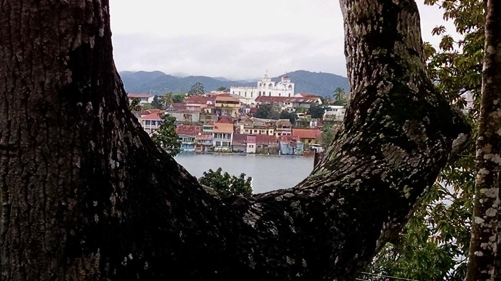 Zapote Tree Inn Flores Dış mekan fotoğraf